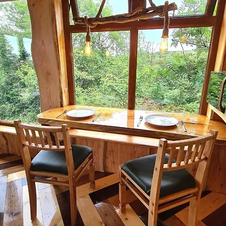 Chalé Noah's Lookout Treehouse, Floating Nature Escape Macroom