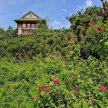 Chalé Noah's Lookout Treehouse, Floating Nature Escape