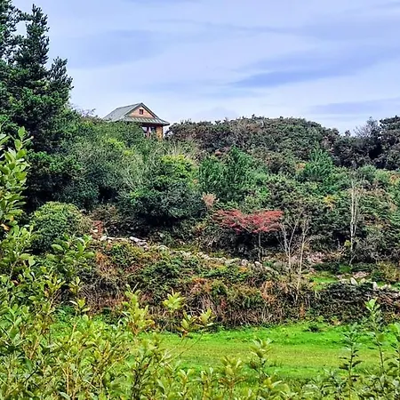 Noah's Lookout Treehouse, Floating Nature Escape * Macroom