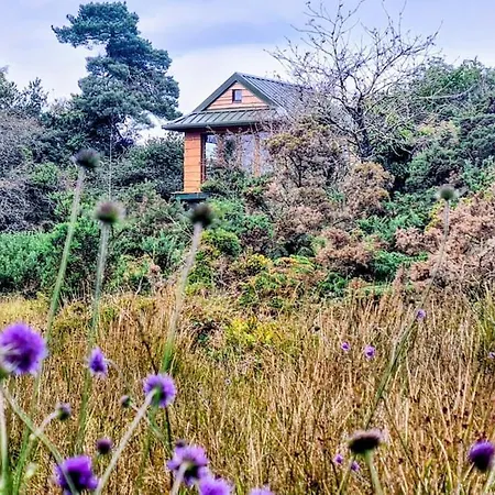 Noah's Lookout Treehouse, Floating Nature Escape