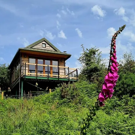 Noah's Lookout Treehouse, Floating Nature Escape Macroom